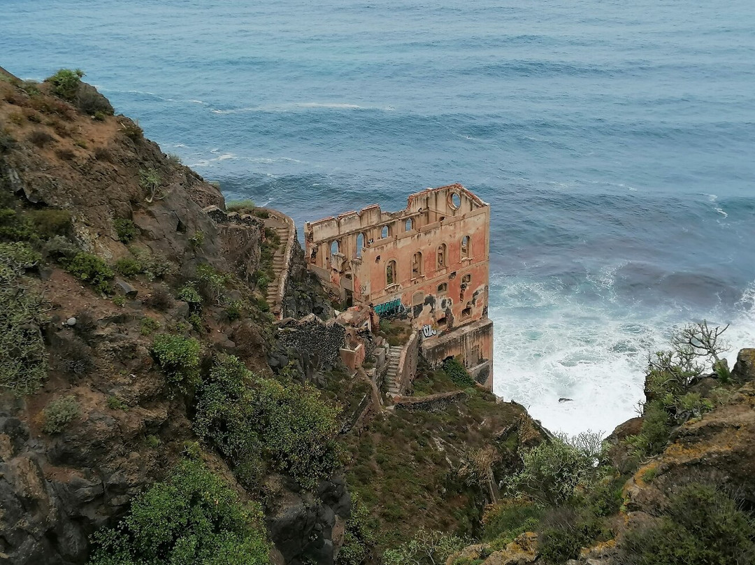 Paisaje Protegido De La Rambla De Castro-Los Realejos必去景点