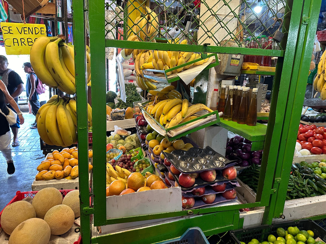 Carelsy Private Tours & Properties-印坦巴/芝华塔尼欧必去景点