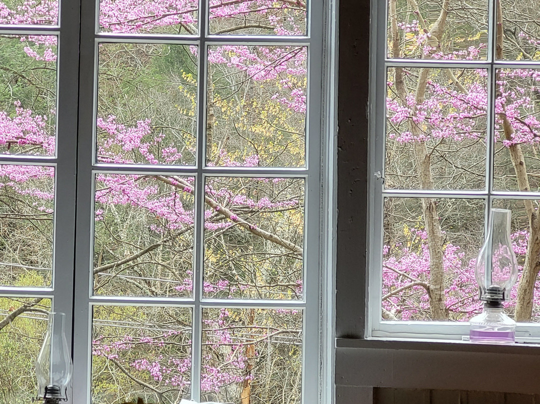 May Breckinridge's Wendover主图