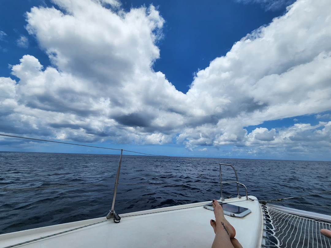 Dreams Catamaran Cruises-Waterford必去景点