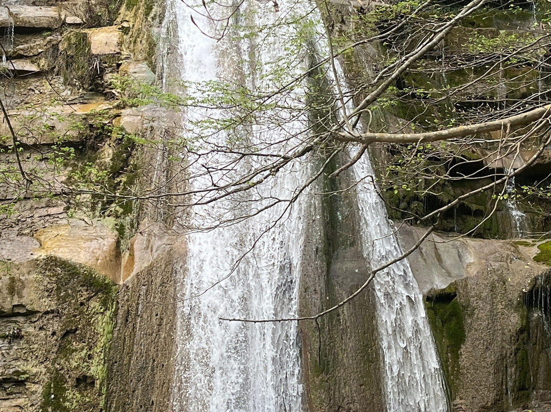 Cascata dell'Acquacheta景点图片