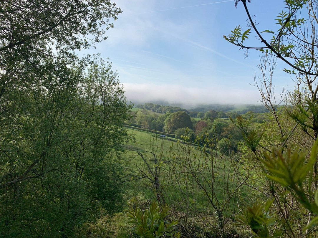 Nymetwood Treehouses