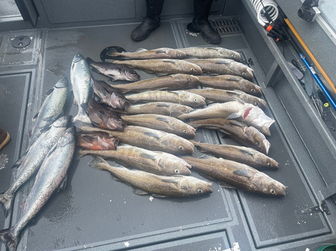 Kodiak Alaskan Adventures