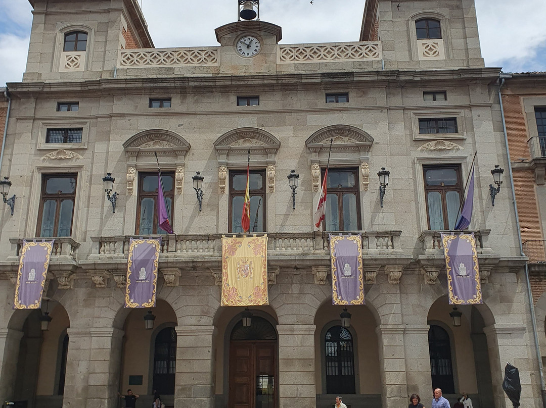 Ayuntamiento de Avila景点图片