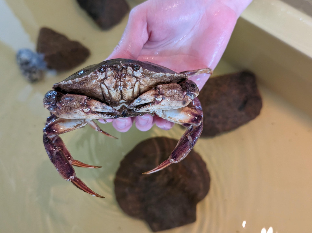 Huntsman Fundy Discovery Aquarium-Saint Andrews必去景点