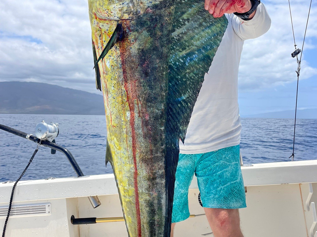 UFO Parasail-卡纳帕利必去景点