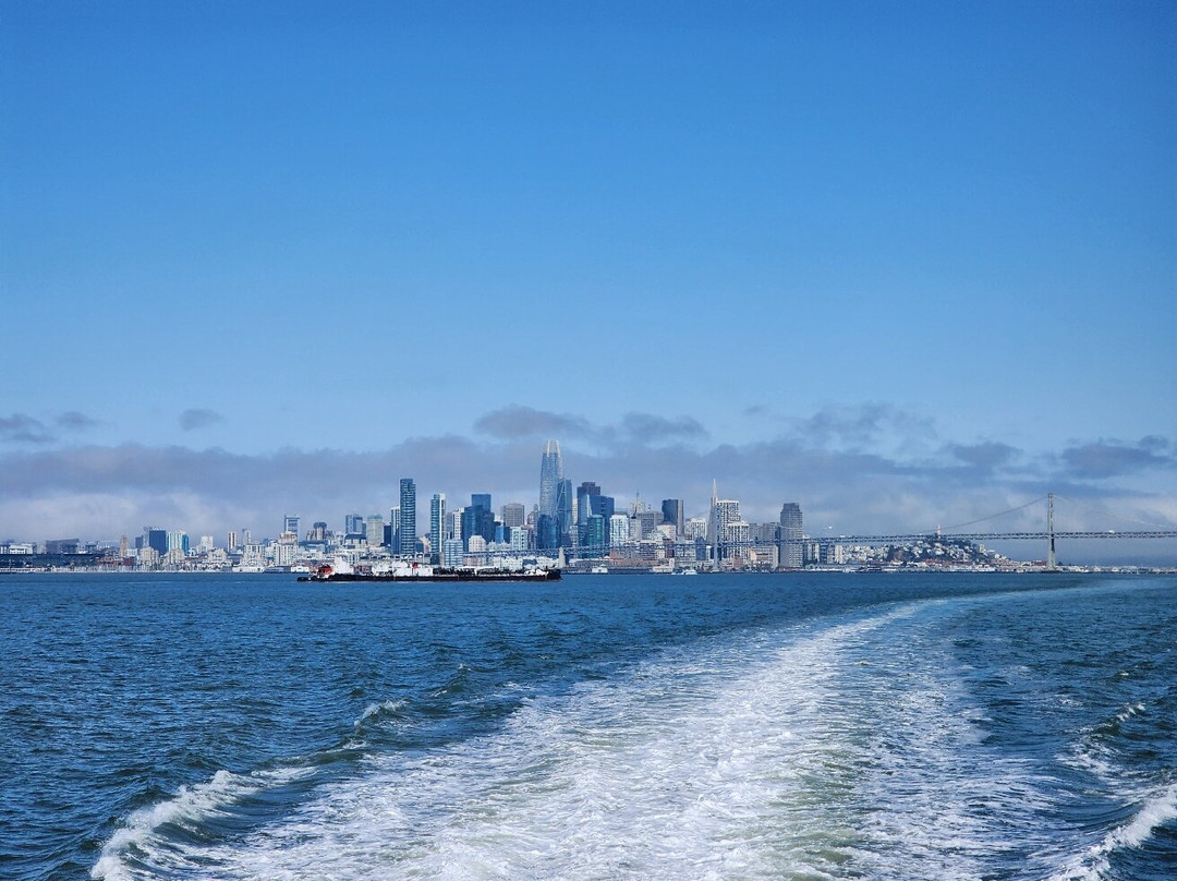 San Francisco Bay Ferry景点图片