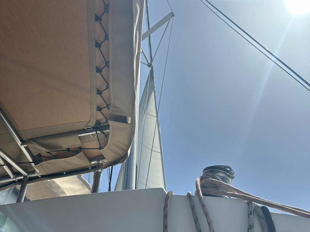Dolphin Navigation Luxury Mykonos Cruises-Tourlos必去景点