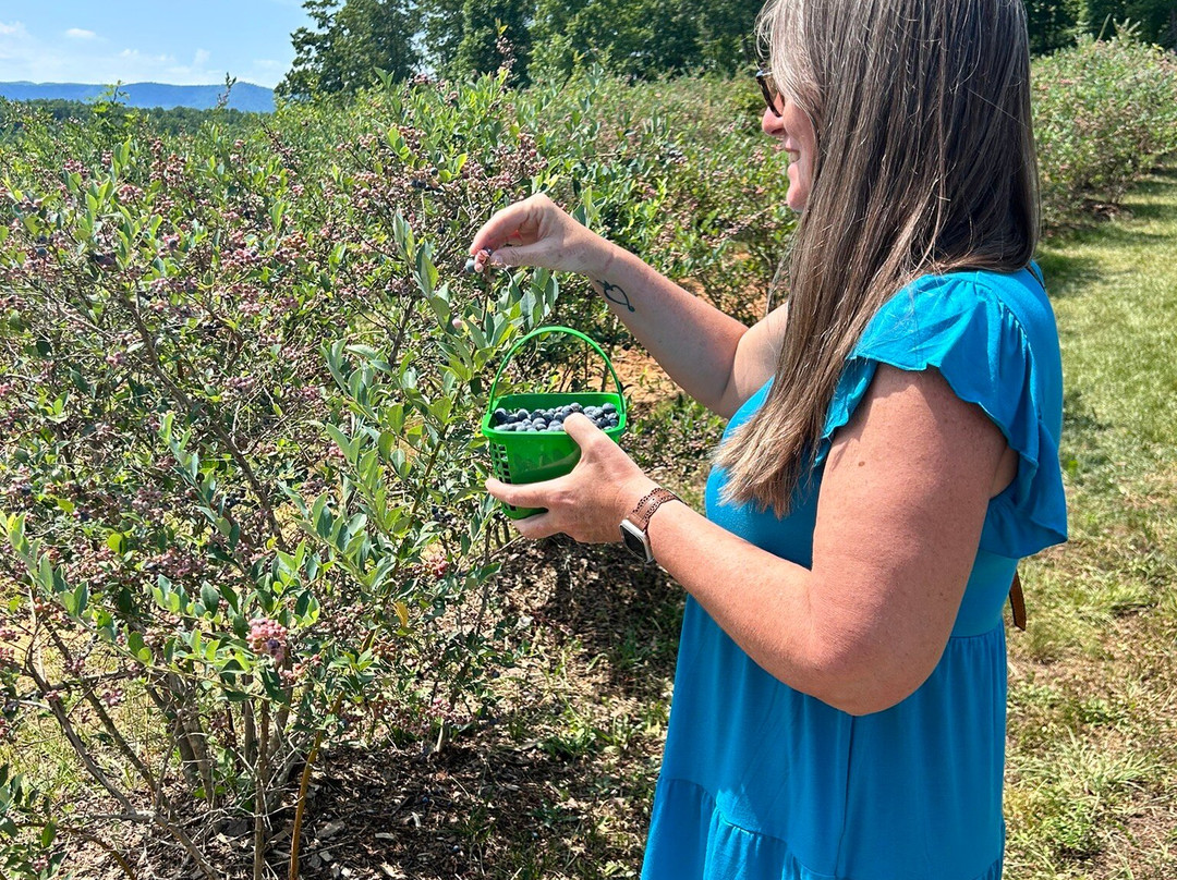 Perry's Berry's Vineyard & Winery-Morganton必去景点