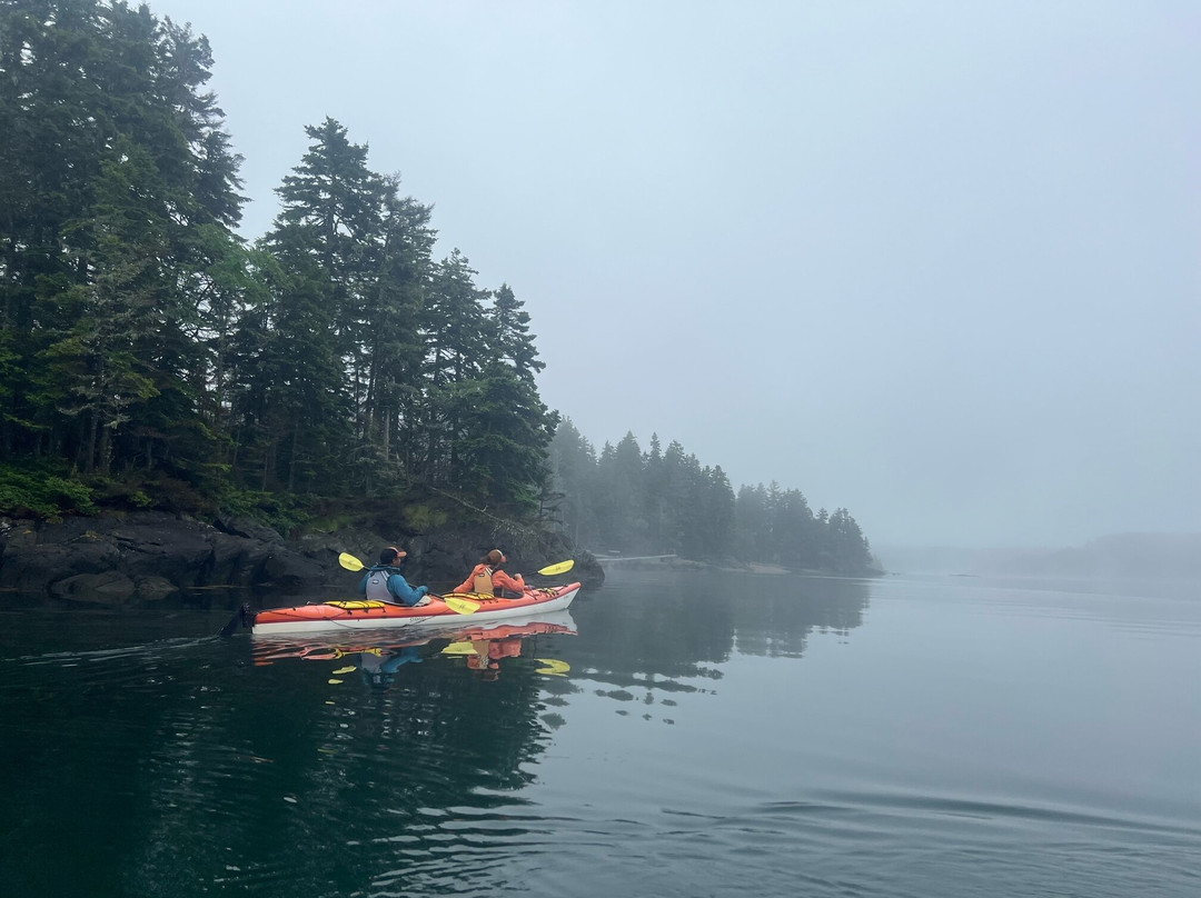 Seascape Kayak Tours Inc.景点图片