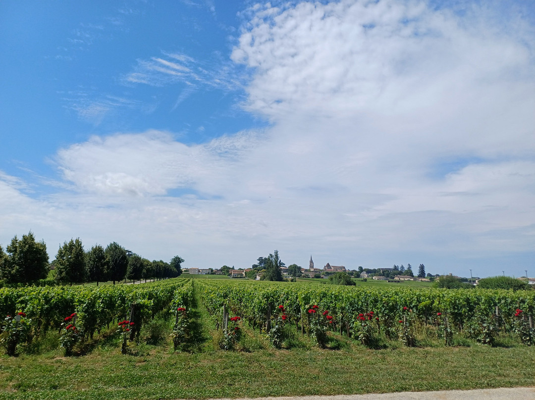 Au Vélo Dans L'Arbre主图