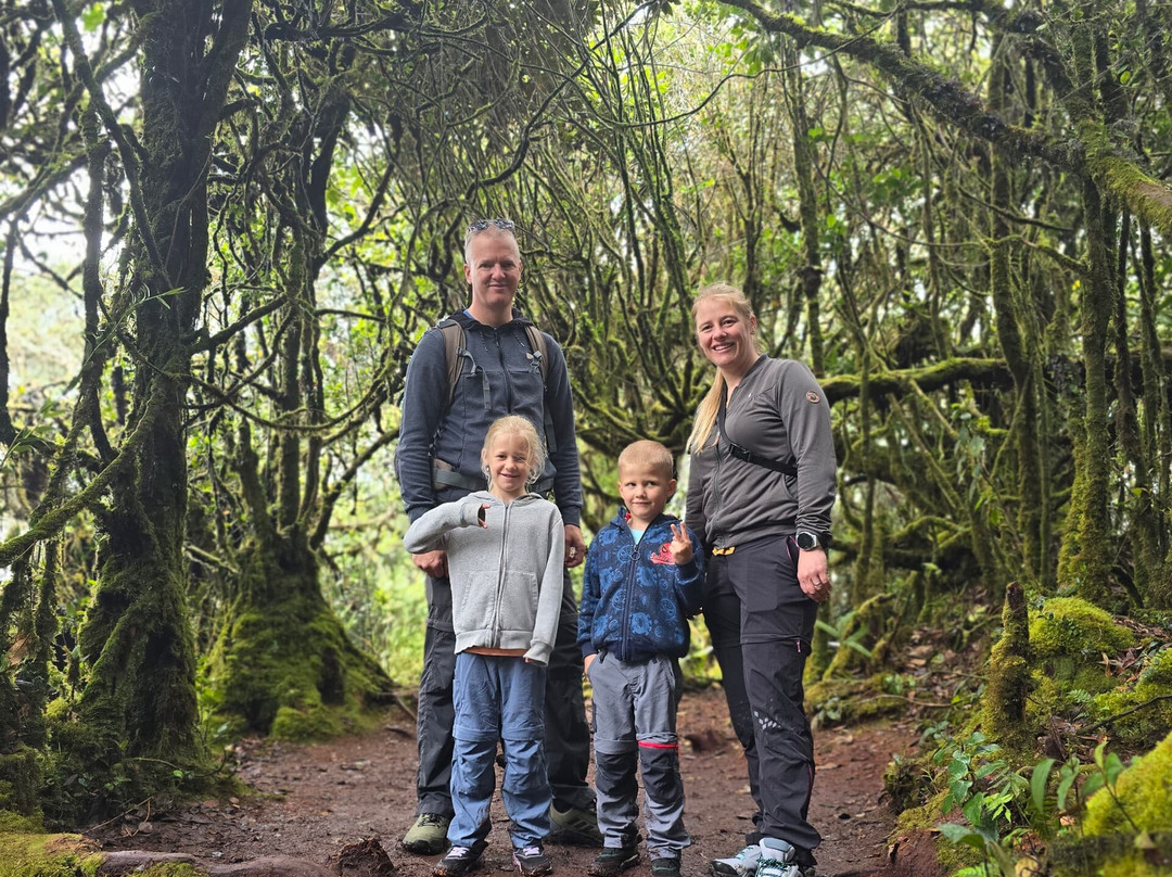 Mossy Cameron Travel & Tours SDN BHD-金马仑高原必去景点