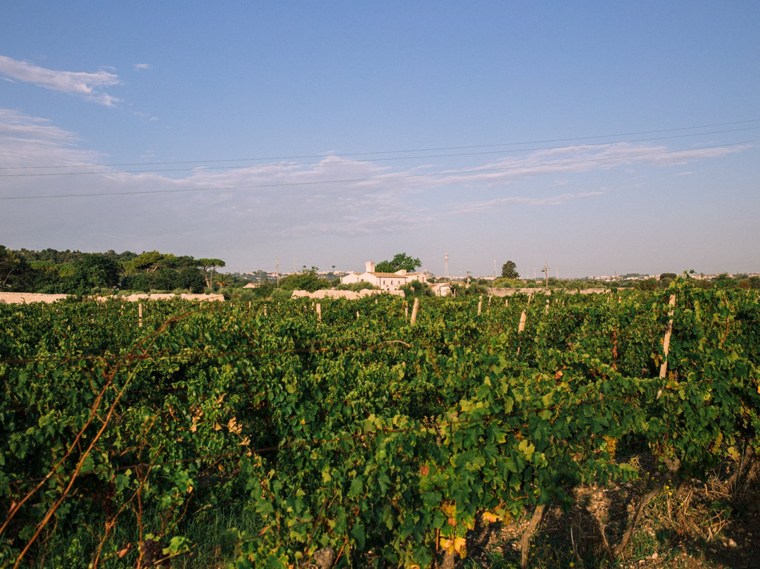Azienda Agricola Pupillo-锡拉库扎必去景点