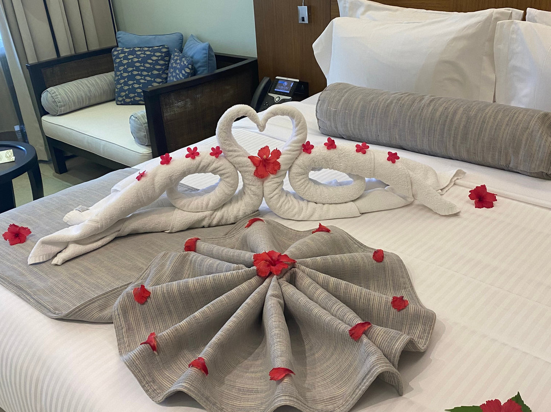 萨沃伊水疗度假村主图