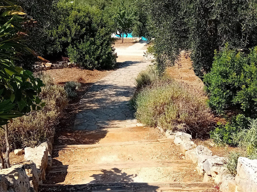 Masseria Spetterrata主图