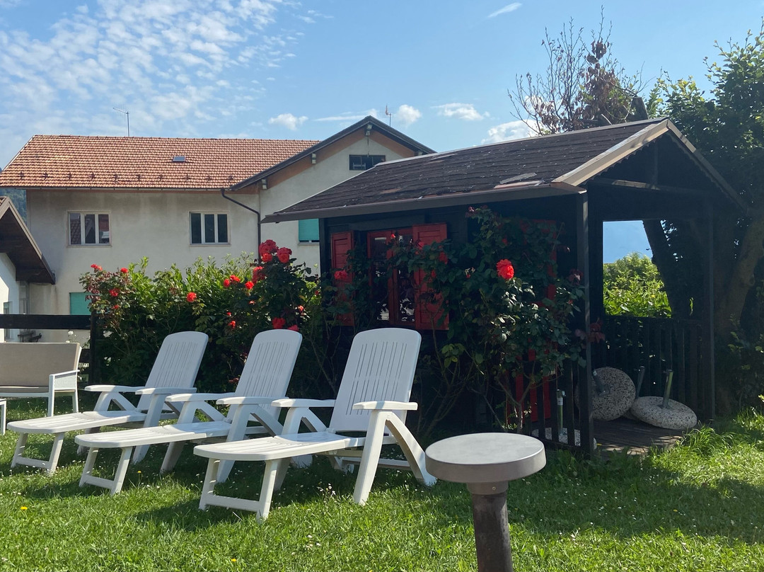 Hotel Alpenrose主图