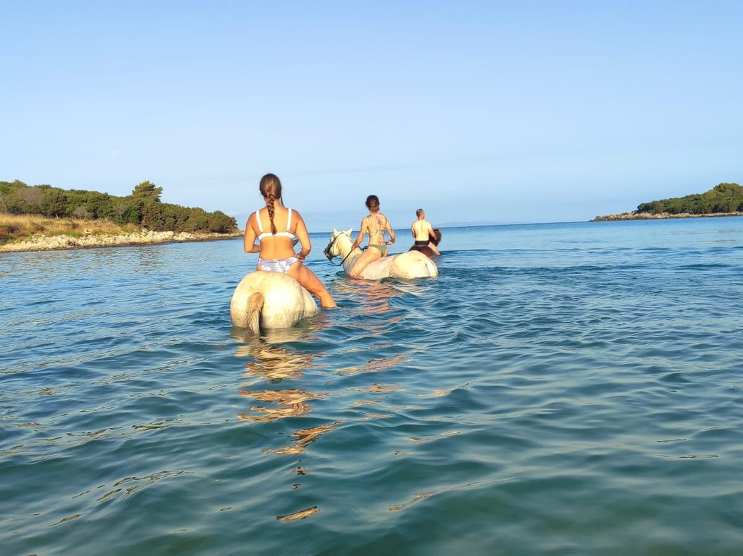 Horse Riding Alonaki-Valanidorrachi必去景点