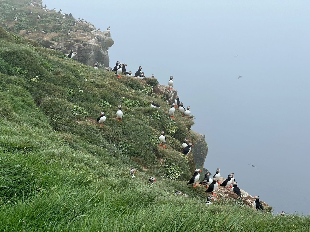 Arctic Trip景点图片