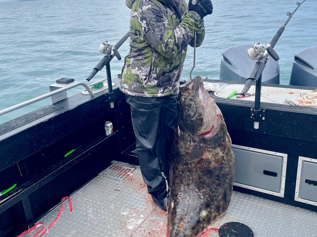 Discover Alaskan Adventures-尼尔奇克必去景点