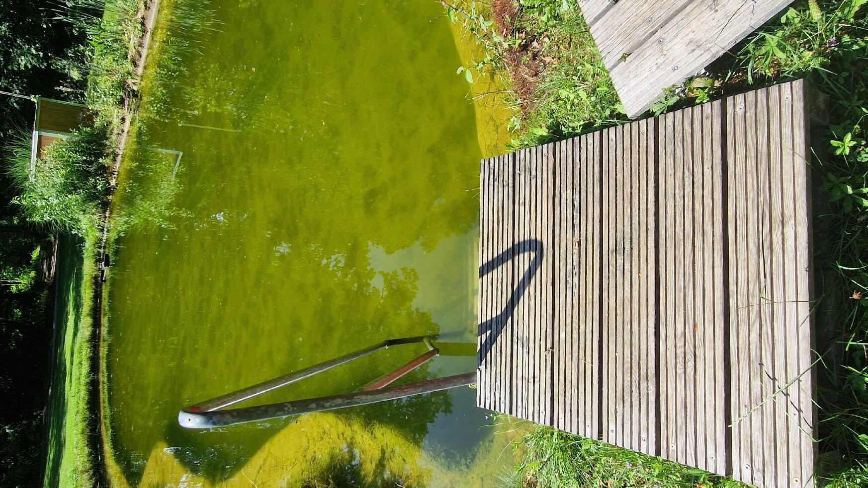 Schlossparkhotel Mariakirchen-官方