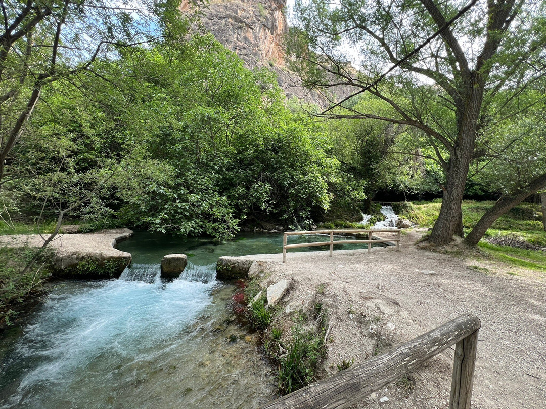 Bosque Encantado de Higueras