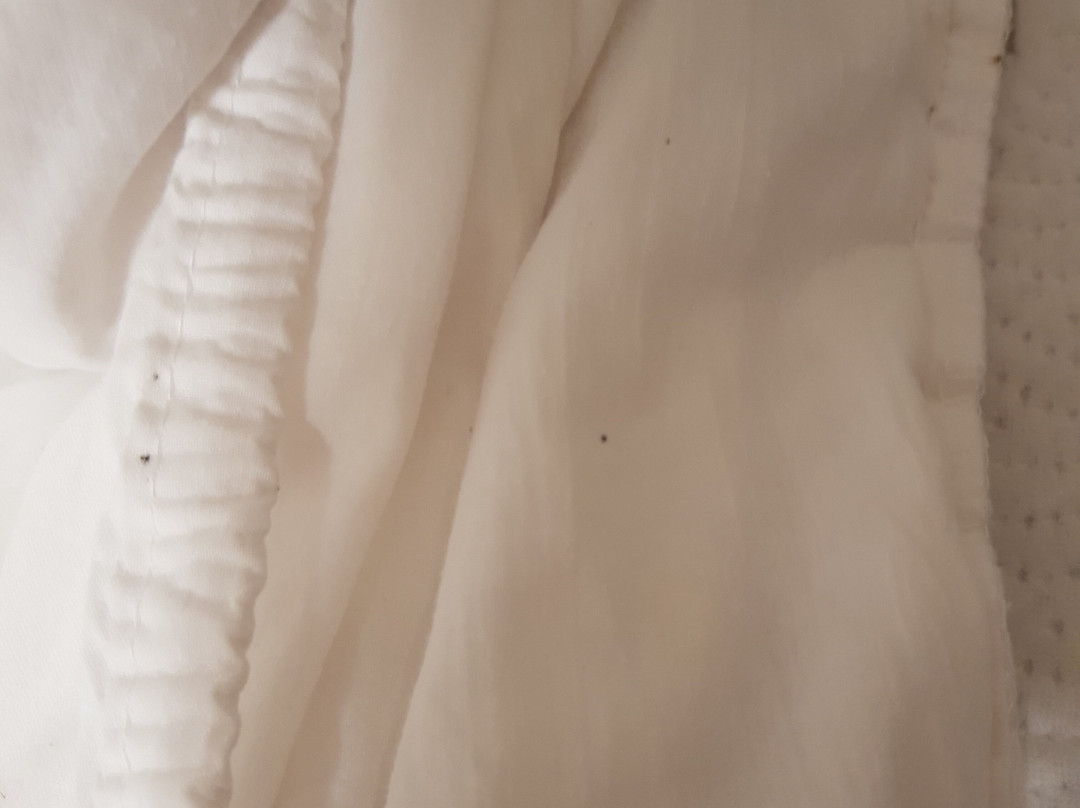 班夫阿斯彭旅馆主图