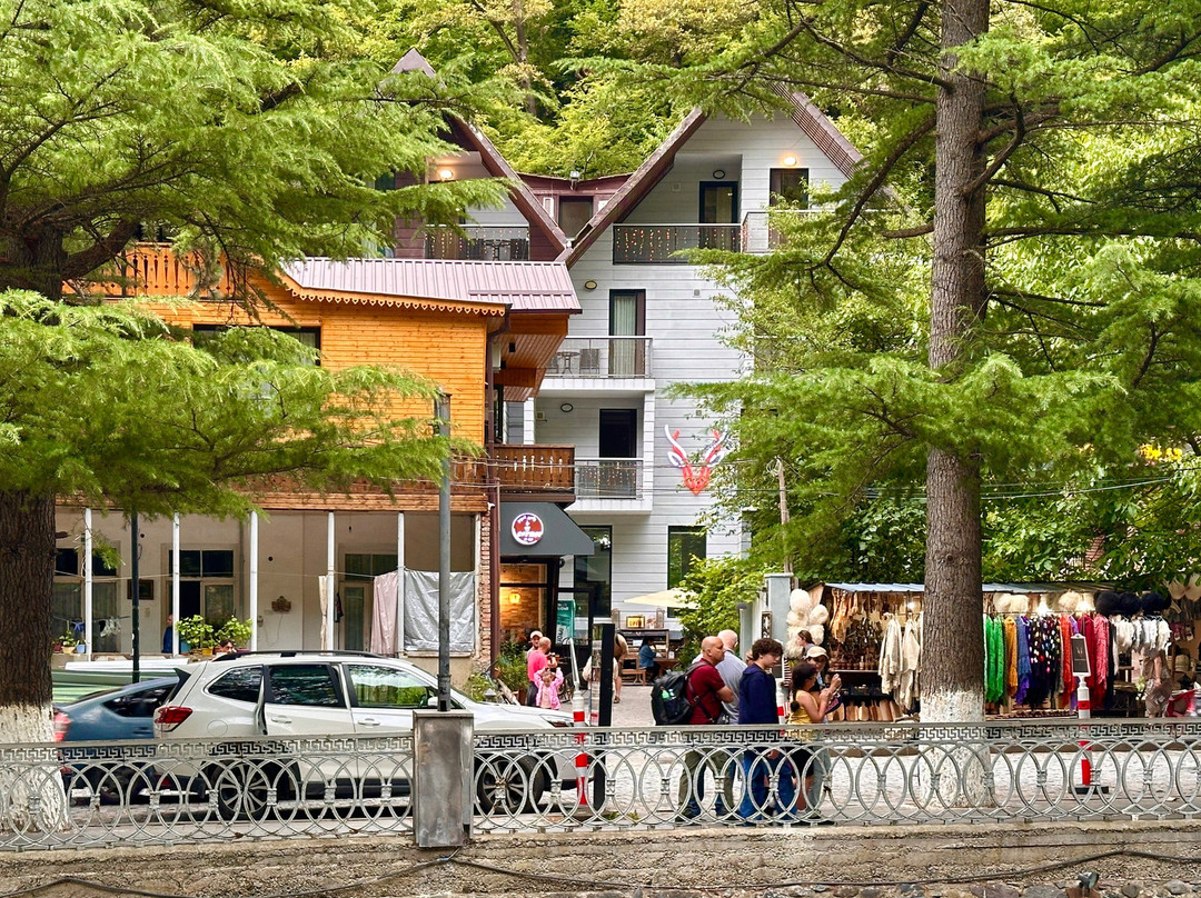 Hotel Borjomi Underwood主图