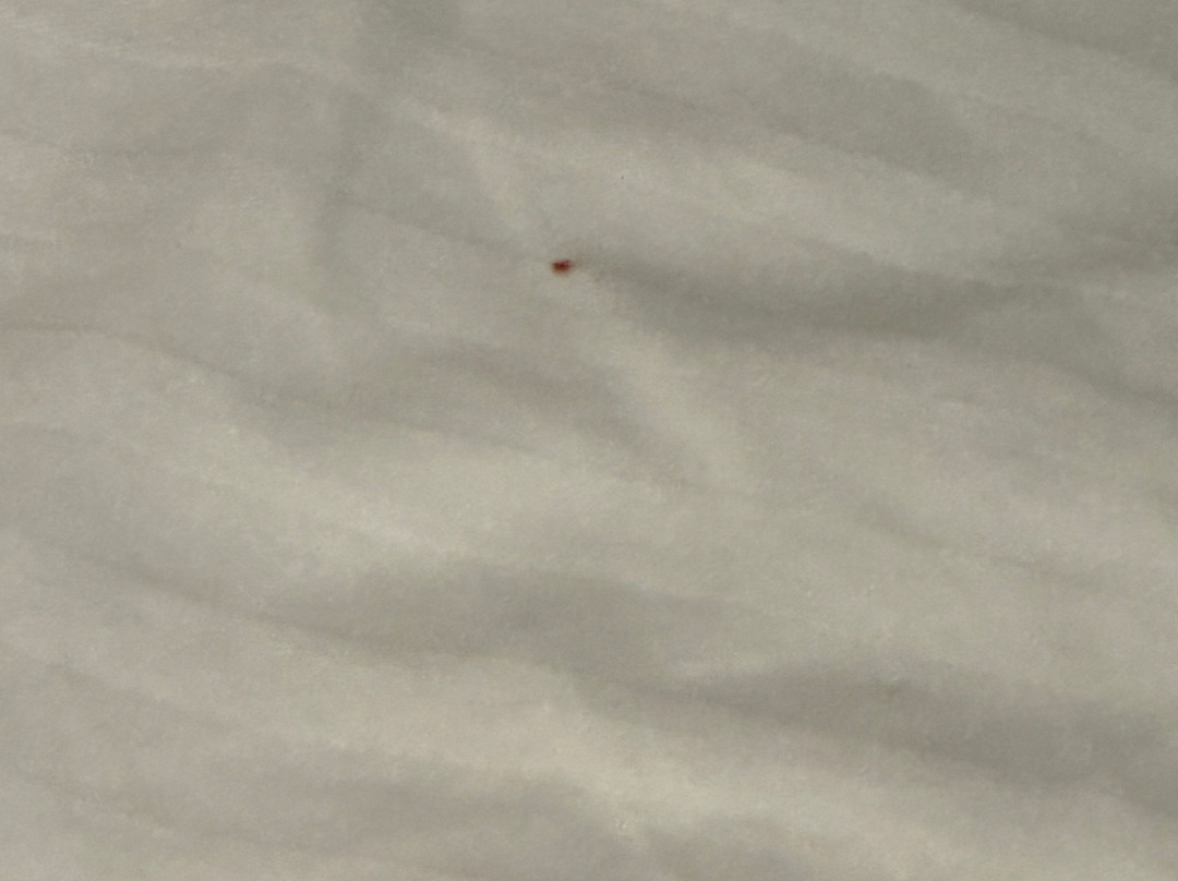 La Quinta Inn & Suites by Wyndham Wichita Northeast主图