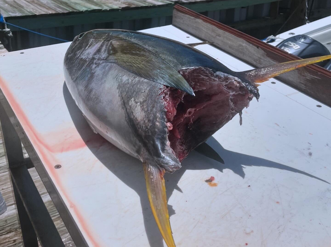 Island Roots-普罗维登西亚莱斯必去景点