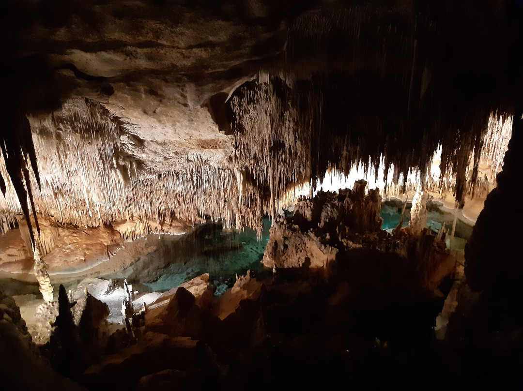 Cuevas del Drach景点图片