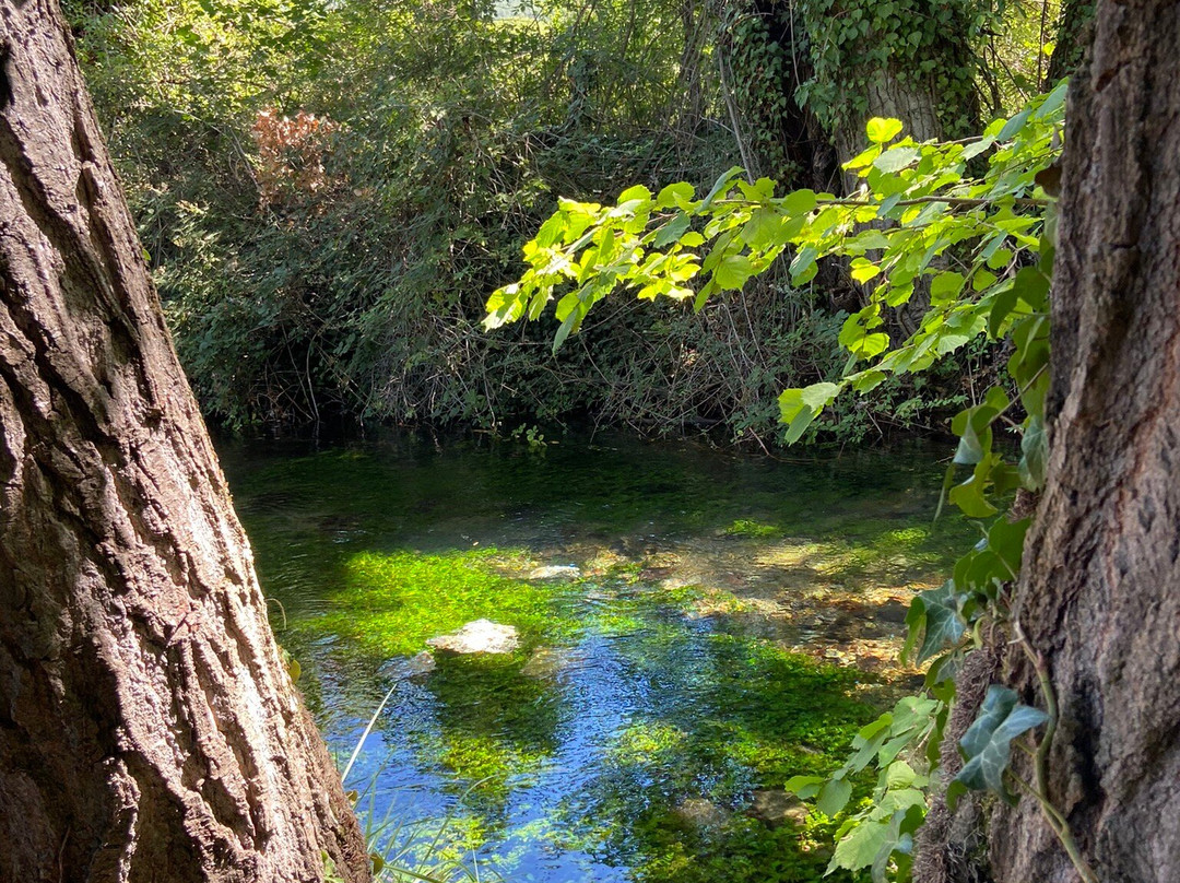 Riserva Naturale Regionale Sorgenti del Fiume Vera景点图片