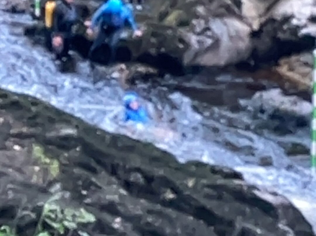 Llandysul Paddlers Outdoor Education Centre景点图片