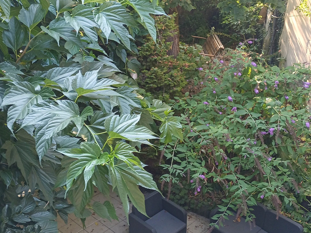 Logis Hôtel le Lion d'Or主图