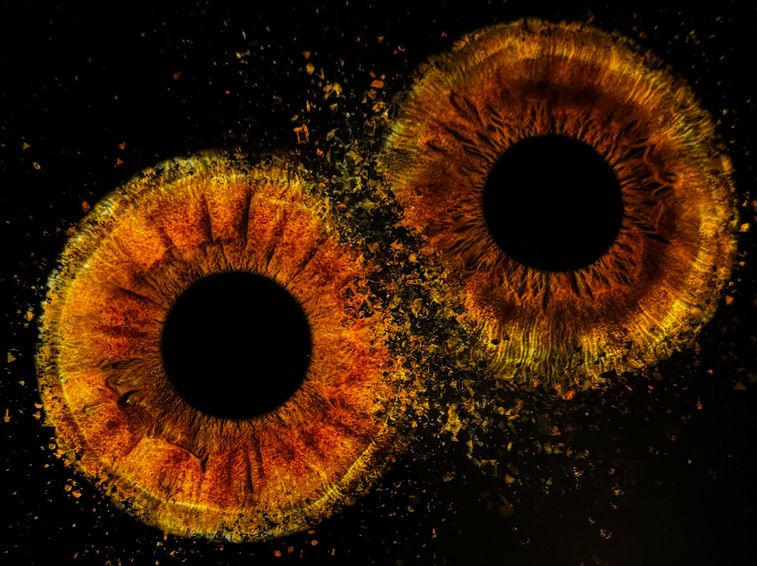 Eyemazy - Lyon-里昂必去景点