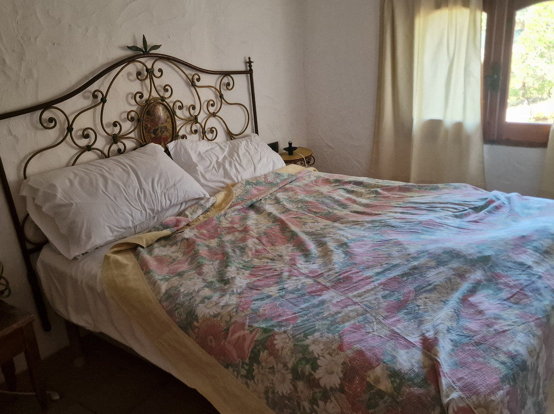 Residenza Capriccioli主图