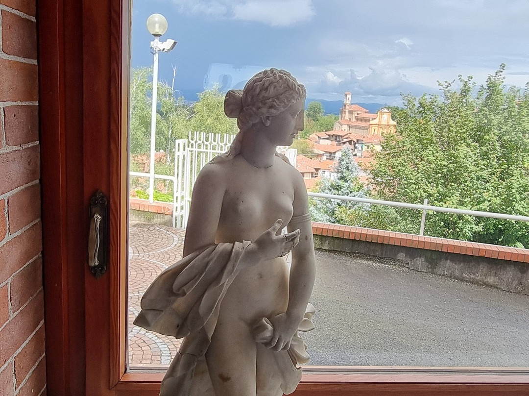 Villa Flecchia e Collezione Enrico景点图片