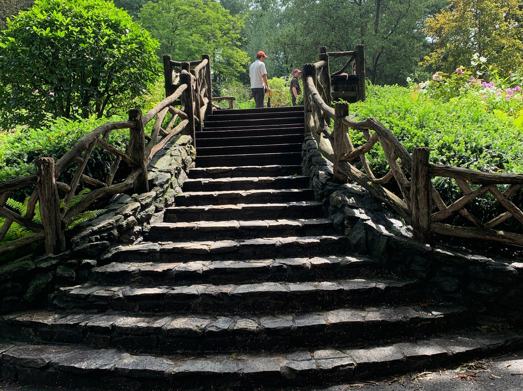 Unlimited Biking-纽约市必去景点