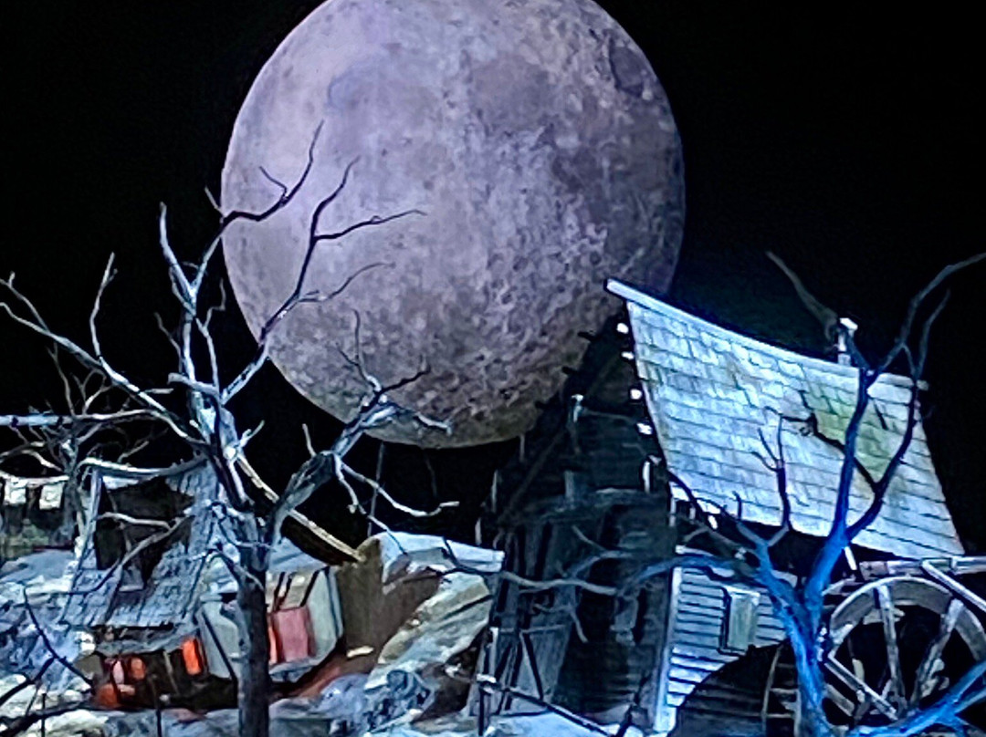 Bregenz Festival景点图片