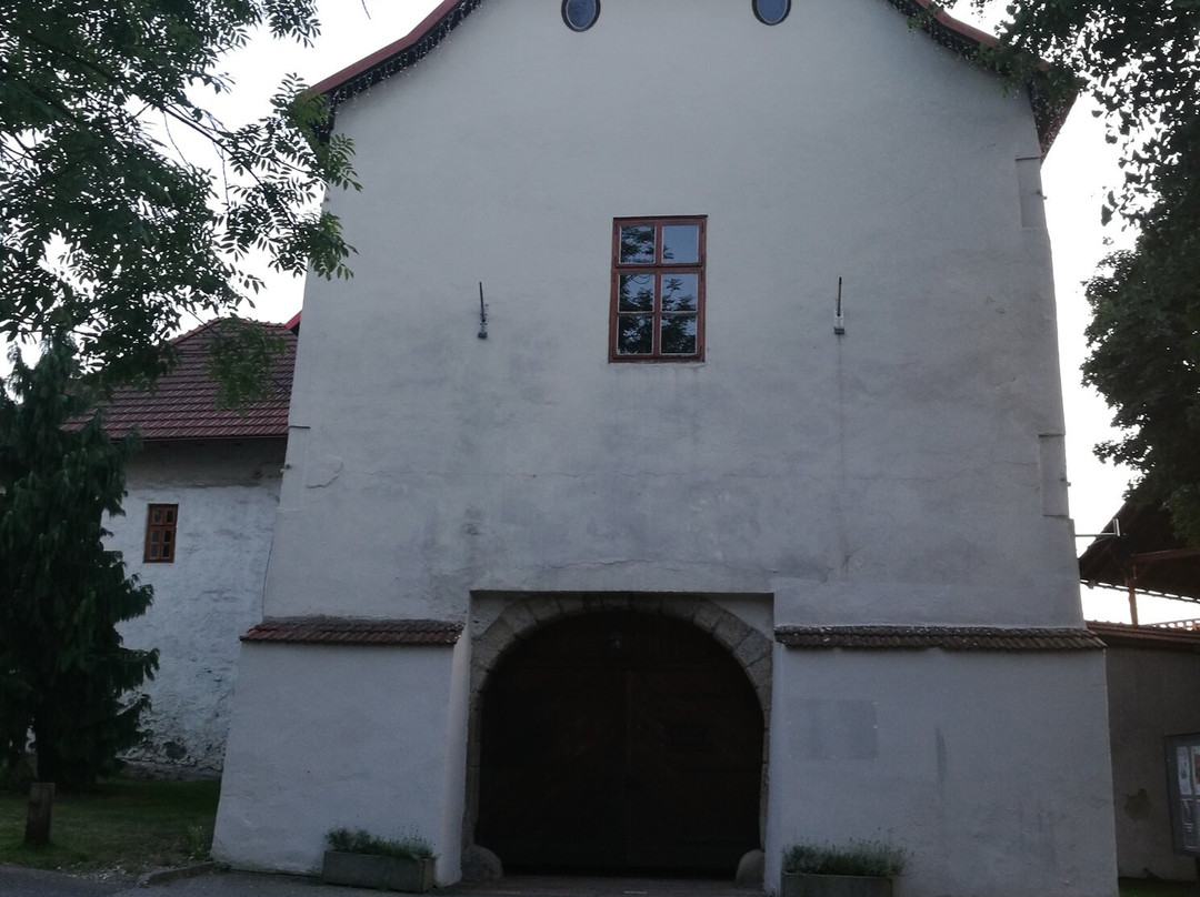 Silesian-Ostrava Castle景点图片