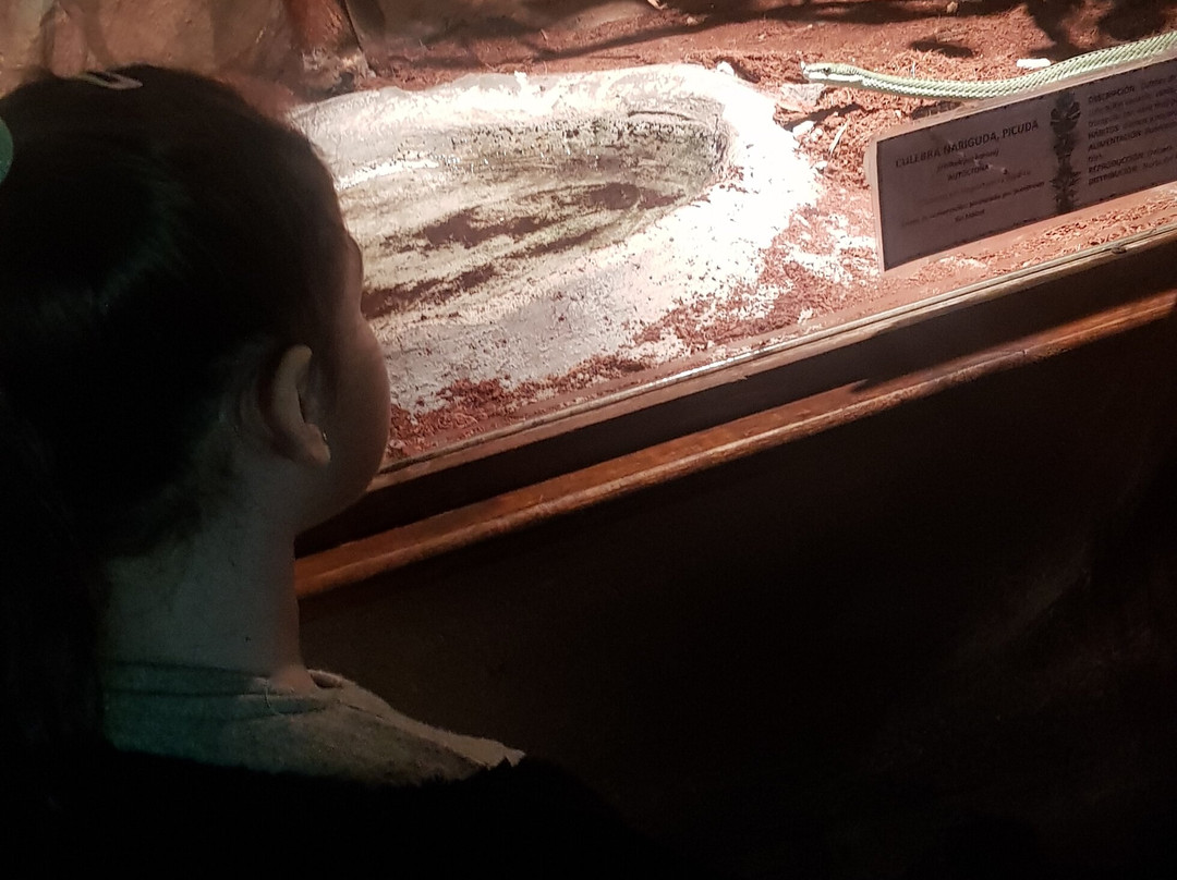 Serpentario Educativo de Tigre-蒂格雷必去景点