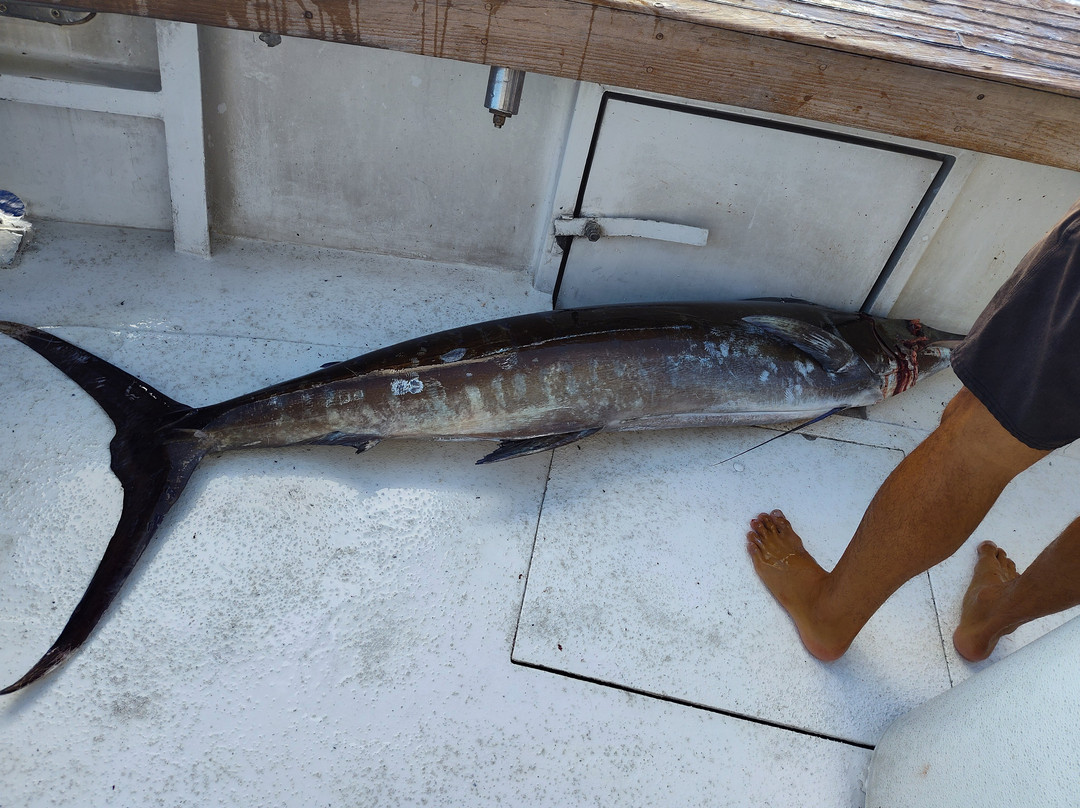 Ohana Yachts, LLC-火奴鲁鲁必去景点