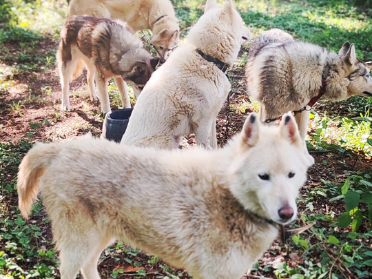 Moment Nordique-Soudat必去景点