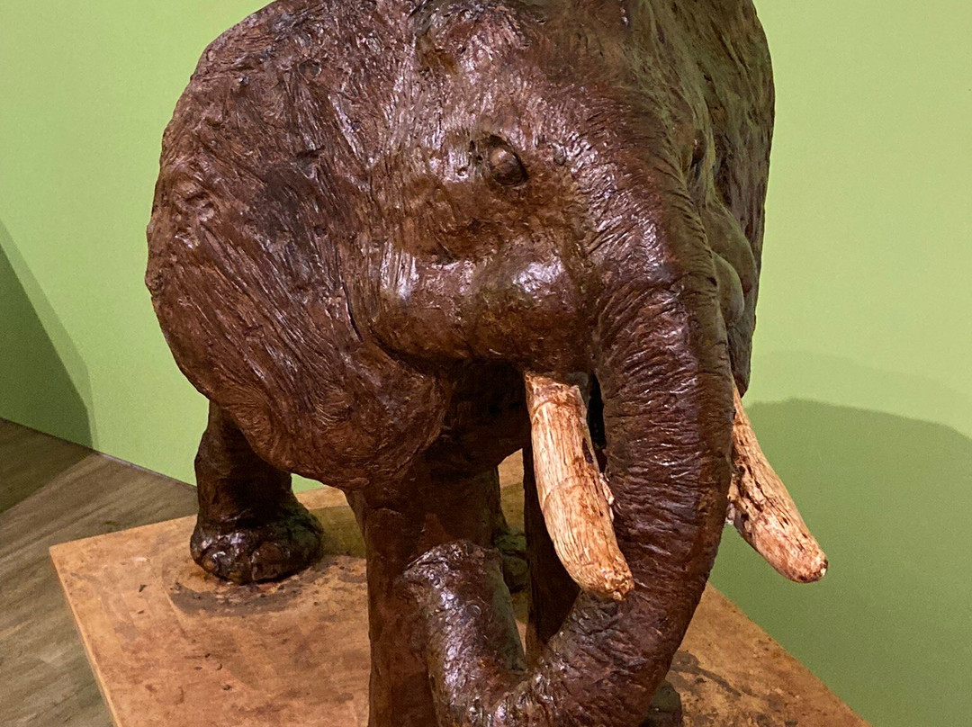 Musée du Chocolat景点图片
