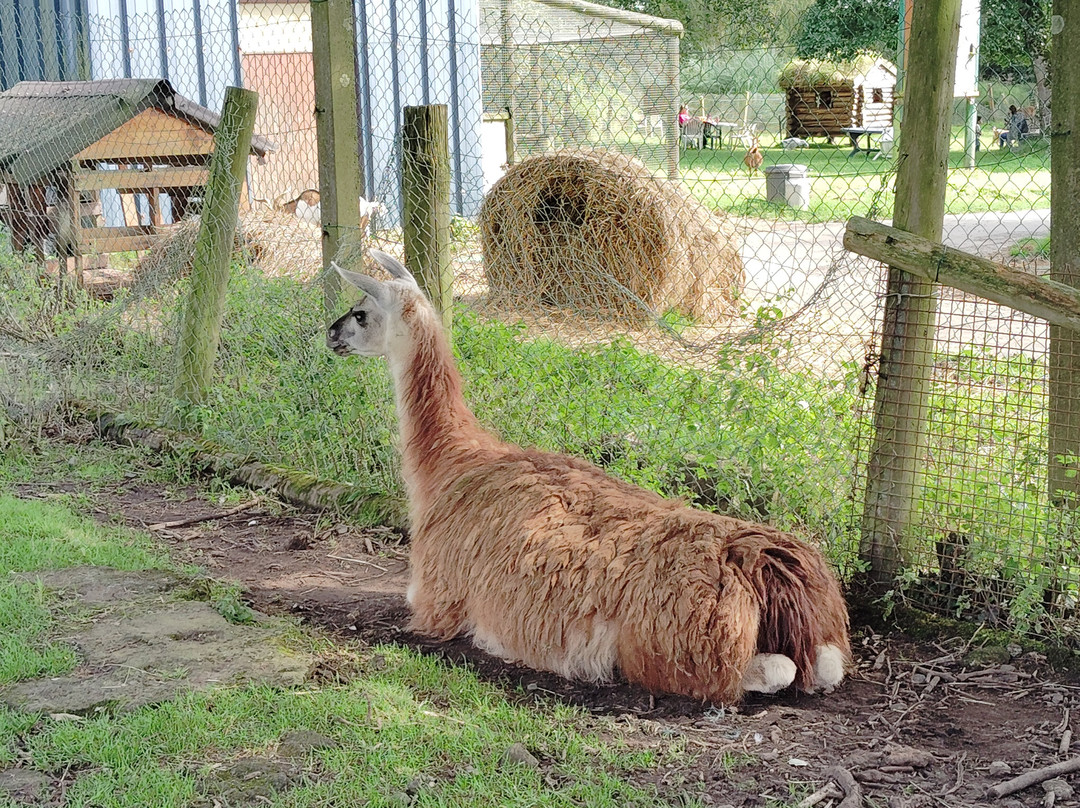 La Pommeraie-Peumerit必去景点