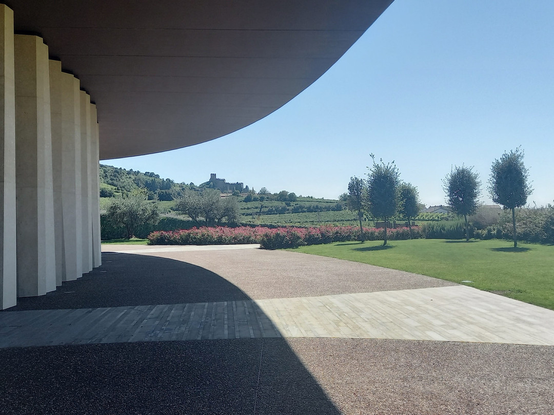 Cantina Leonildo Pieropan景点图片