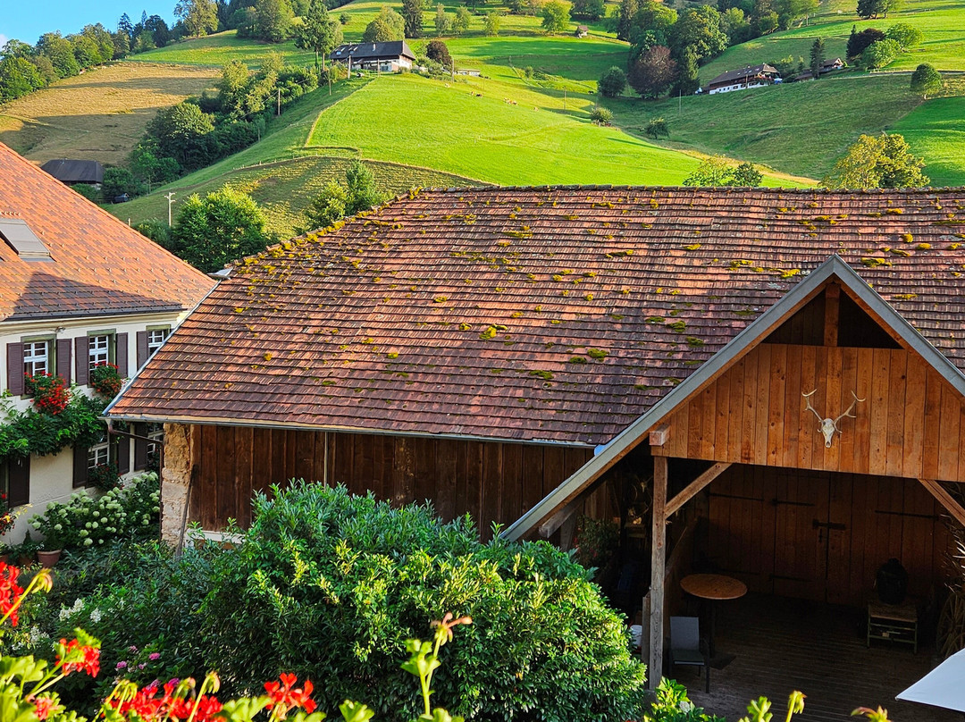 Romantik Hotel Spielweg主图