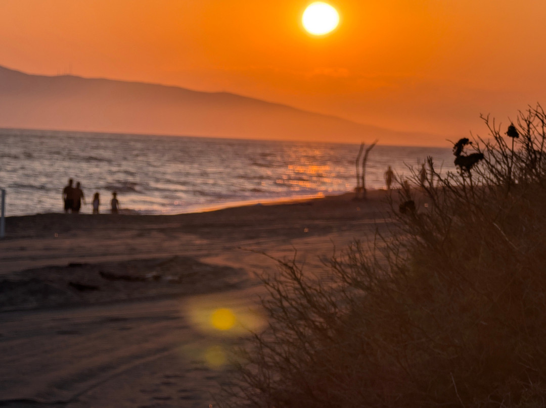 Spiaggia di Costa Selvaggia-Pescia Romana必去景点