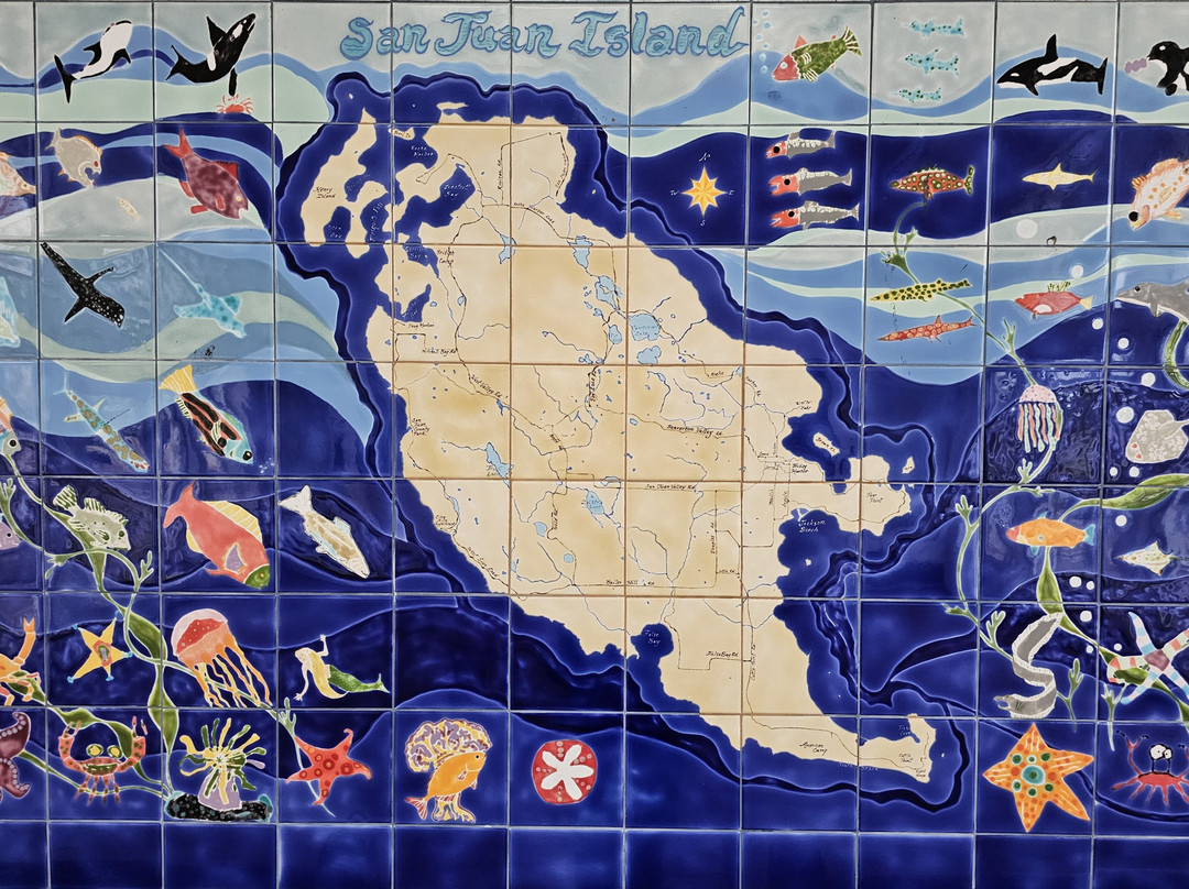 The Whale Museum景点图片