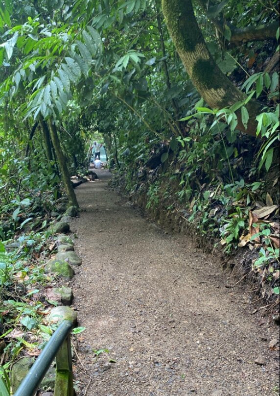 Catarata Uvita景点图片