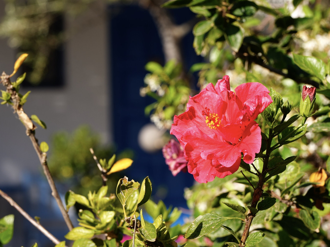 Lakki Village Family Beach Hotel主图